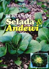 BERTANAM SELADA & ANDEWI