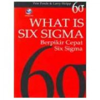 WHAT IS SIX SIGMA BERPIKIR CEPAT SIX SIGMA