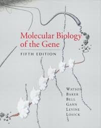 MOLECULAR BIOLOGY OF THE GENE